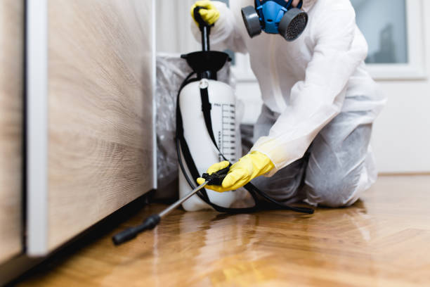 Best Cockroach Control Services  in Stanton, KY