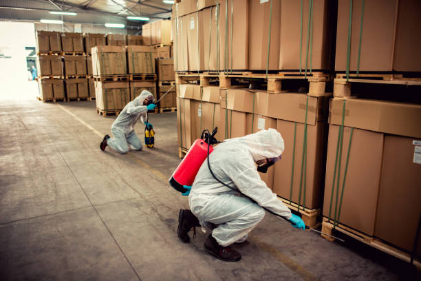 Best Local Pest Control Services  in Stanton, KY