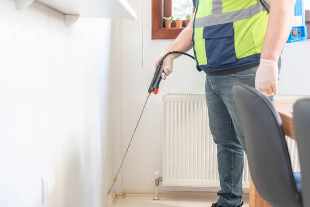 Best Wasp Removal Services  in Stanton, KY