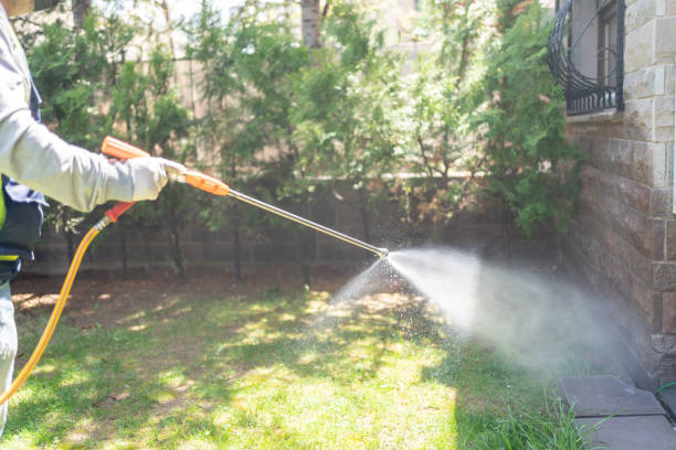 Flea Control Services in Stanton, KY