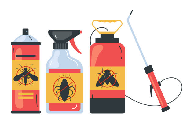 Best Insect Control  in Stanton, KY