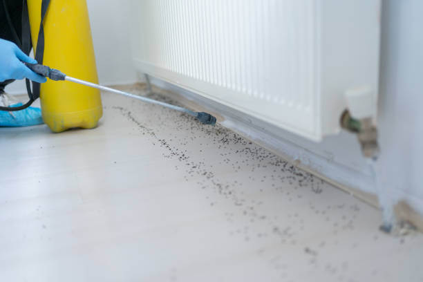 Best Commercial Pest Control Services  in Stanton, KY