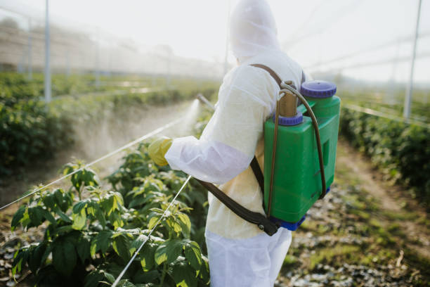 Reliable Stanton, KY Pest Control Solutions